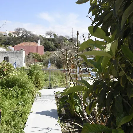 Bella's House Tatil Evi *