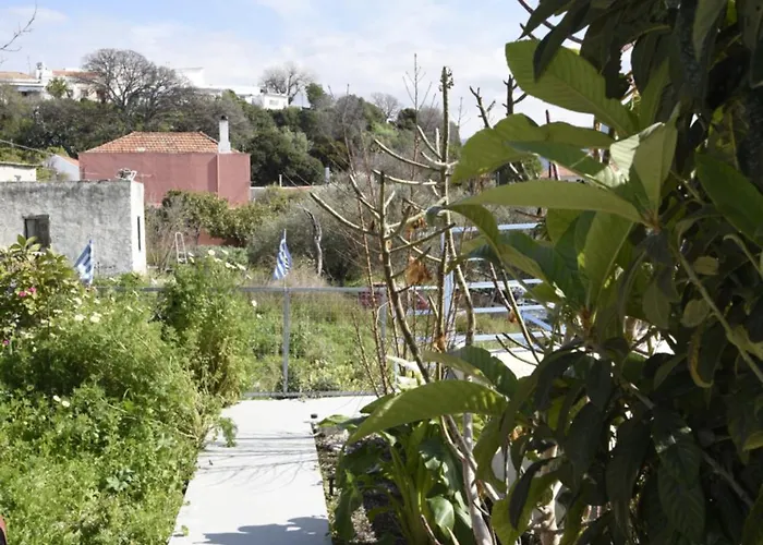 Bella's House Tatil Evi *